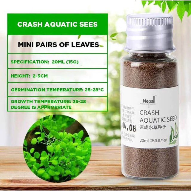 Crash Aquatic Seeds bottle with mini leaves, specifications for germination and growth temperature detailed on the label.
