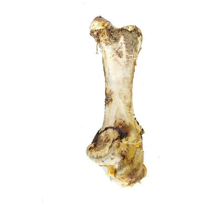 Yips & Yaps Ostrich Short Bone for dogs, a natural chew treat, high in minerals and nutrients for healthy chewing pleasure.
