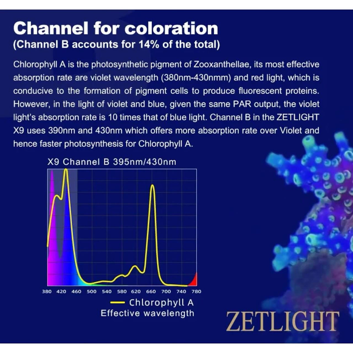 Graph showing absorption rates of light wavelengths for effective chlorophyll A photosynthesis in Zetlight X9 Marine LED.