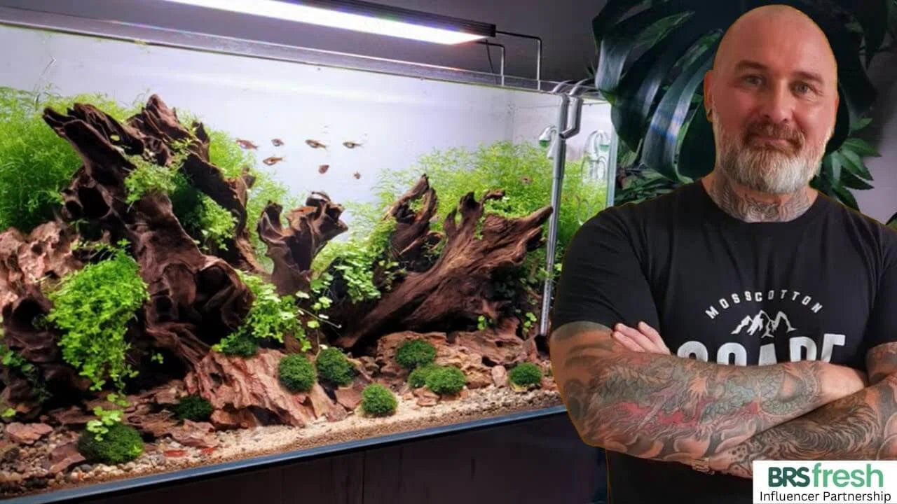 How to Aquascape With Dragon Stone: Choosing, Cleaning and Stacking Ohko Stone in a planted aquarium.