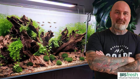 How to Aquascape With Dragon Stone: Choosing, Cleaning and Stacking Ohko Stone in a planted aquarium.