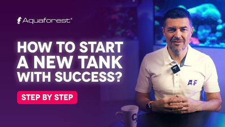 Man explaining how to start a new marine aquarium successfully with Aquaforest, step-by-step guide.