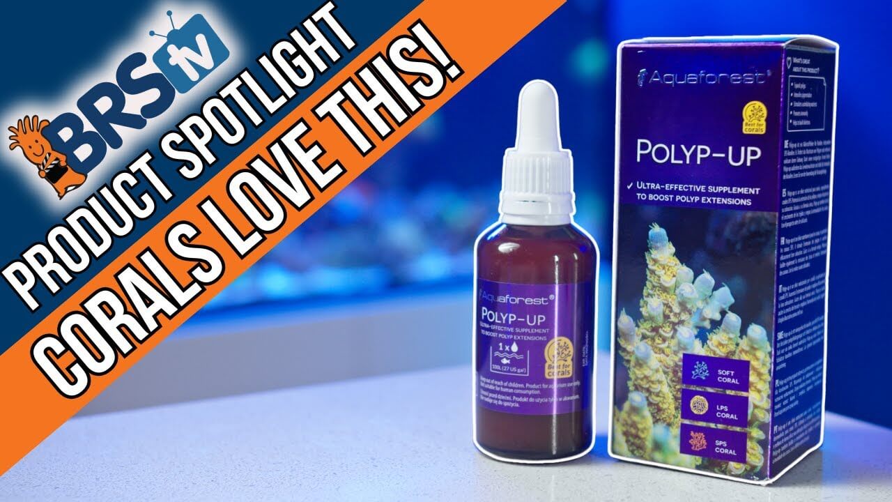 Aquaforest Polyp Up coral supplement to enhance polyp extension for healthy SPS corals.
