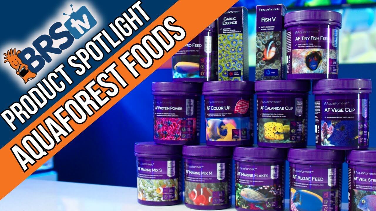 Display of Aquaforest food products highlighting their benefits for reef fish health.