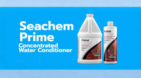 Seachem Prime concentrated water conditioner for freshwater and saltwater aquariums in two bottle sizes.