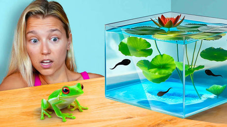 A surprised woman watches a frog near an aquarium filled with lily pads and tadpoles.