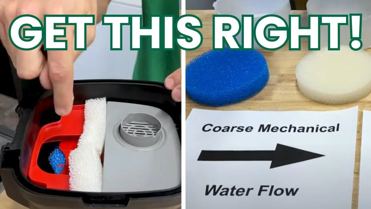 How to Set Up Canister Filter Media in the Right Order, showing filter media arrangement and water flow direction.