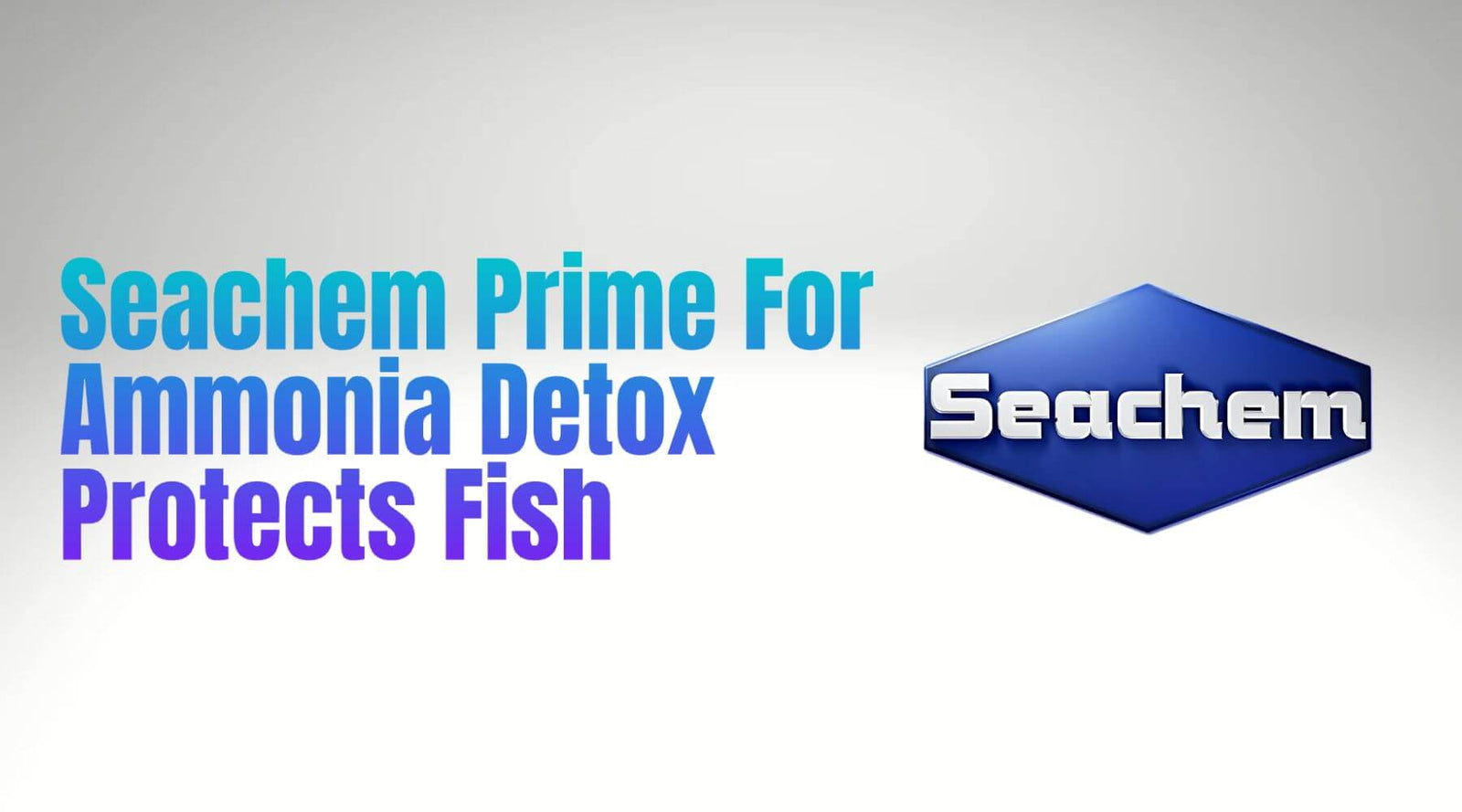 Seachem Prime product image promoting ammonia detox and fish protection for home aquariums.