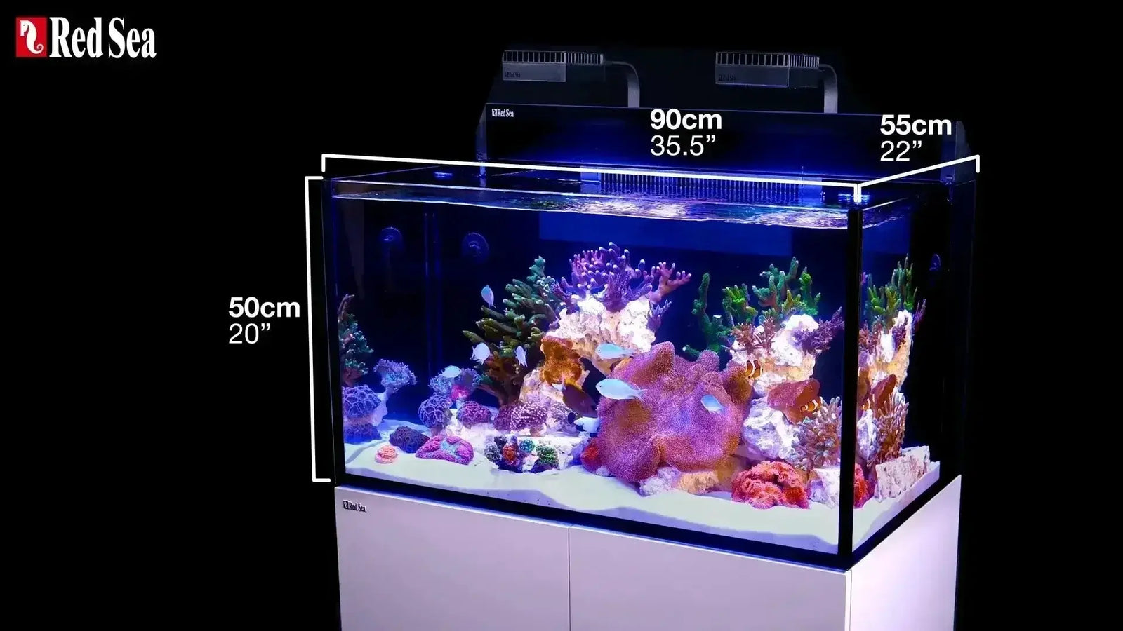 Red Sea G2 XXL reef aquarium showcasing colorful corals and fish, with dimensions labeled for reference.