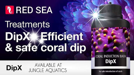 Red Sea DipX coral dip product advertisement promoting safe coral introduction for reef aquariums.