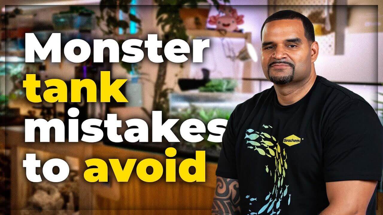 Man in a black t-shirt discussing common mistakes in maintaining a monster fish tank.