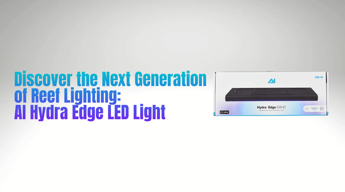 AI Hydra Edge LED Light: Revolutionizing Reef Lighting