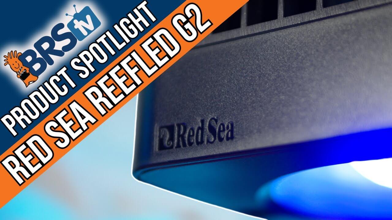 Close-up of the Red Sea ReefLED G2 light showcasing branding and features, highlighted by BRS TV product spotlight.