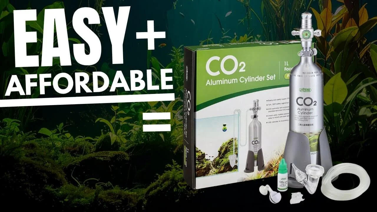 How to Set Up an Aquarium CO2 Kit for a Planted Tank - CO2 aluminum cylinder set and equipment.