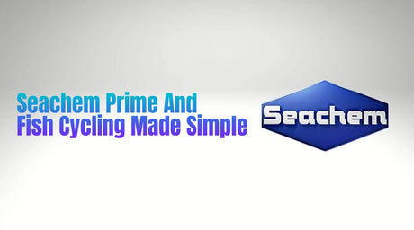 Banner for Seachem Prime and Fish Cycling Made Simple, showcasing water conditioning benefits for aquariums.