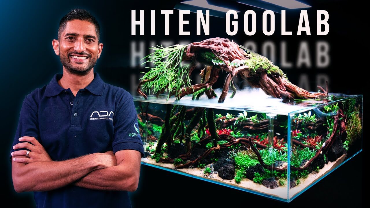 Hiten Goolab showcasing a stunning aquascape featuring a willow tree design at Epic Aquatics.