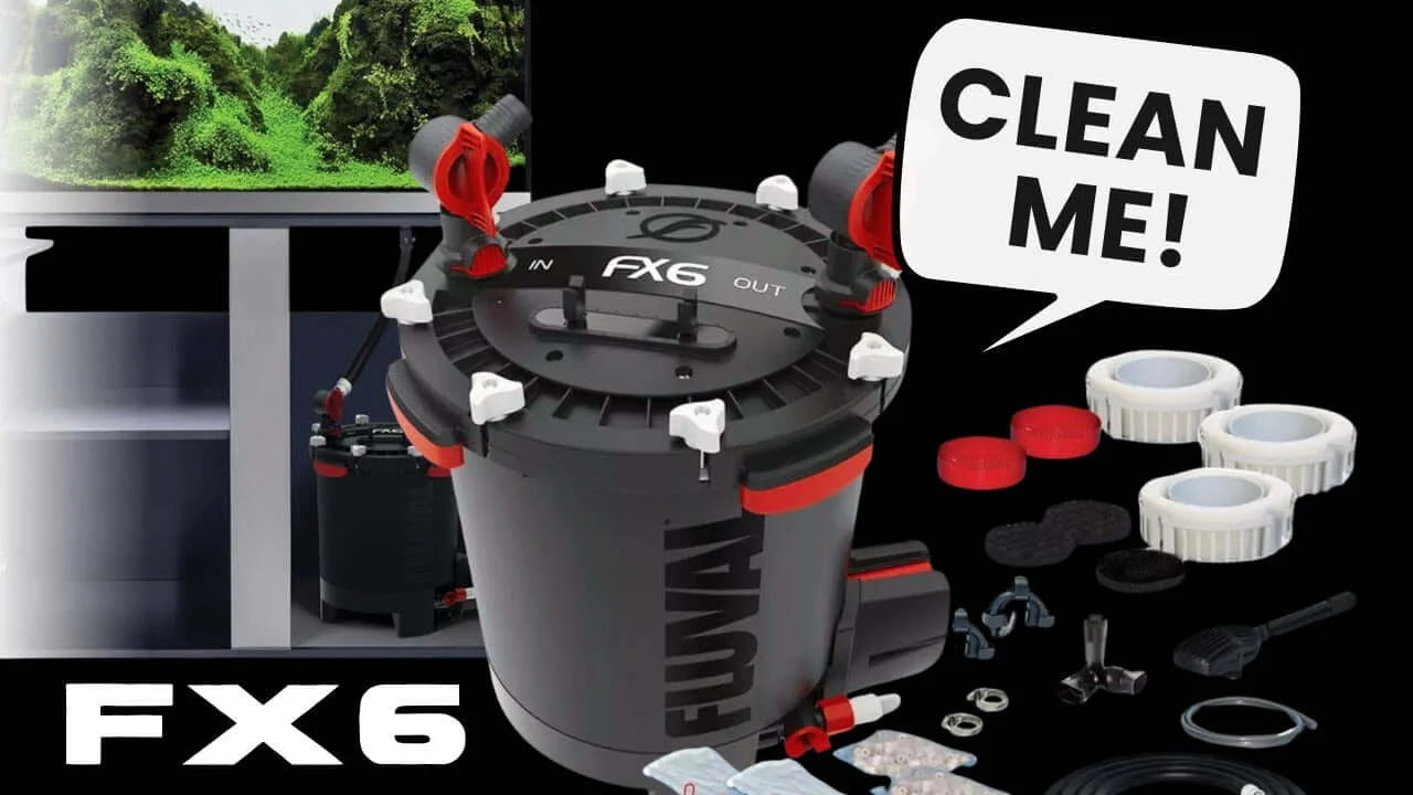 How to Clean a Fluval FX6 Canister Filter Without Making a Mess with visible cleaning accessories.
