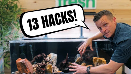Man demonstrating aquarium hacks with a freshwater tank, highlighting 13 practical solutions for aquarium care.