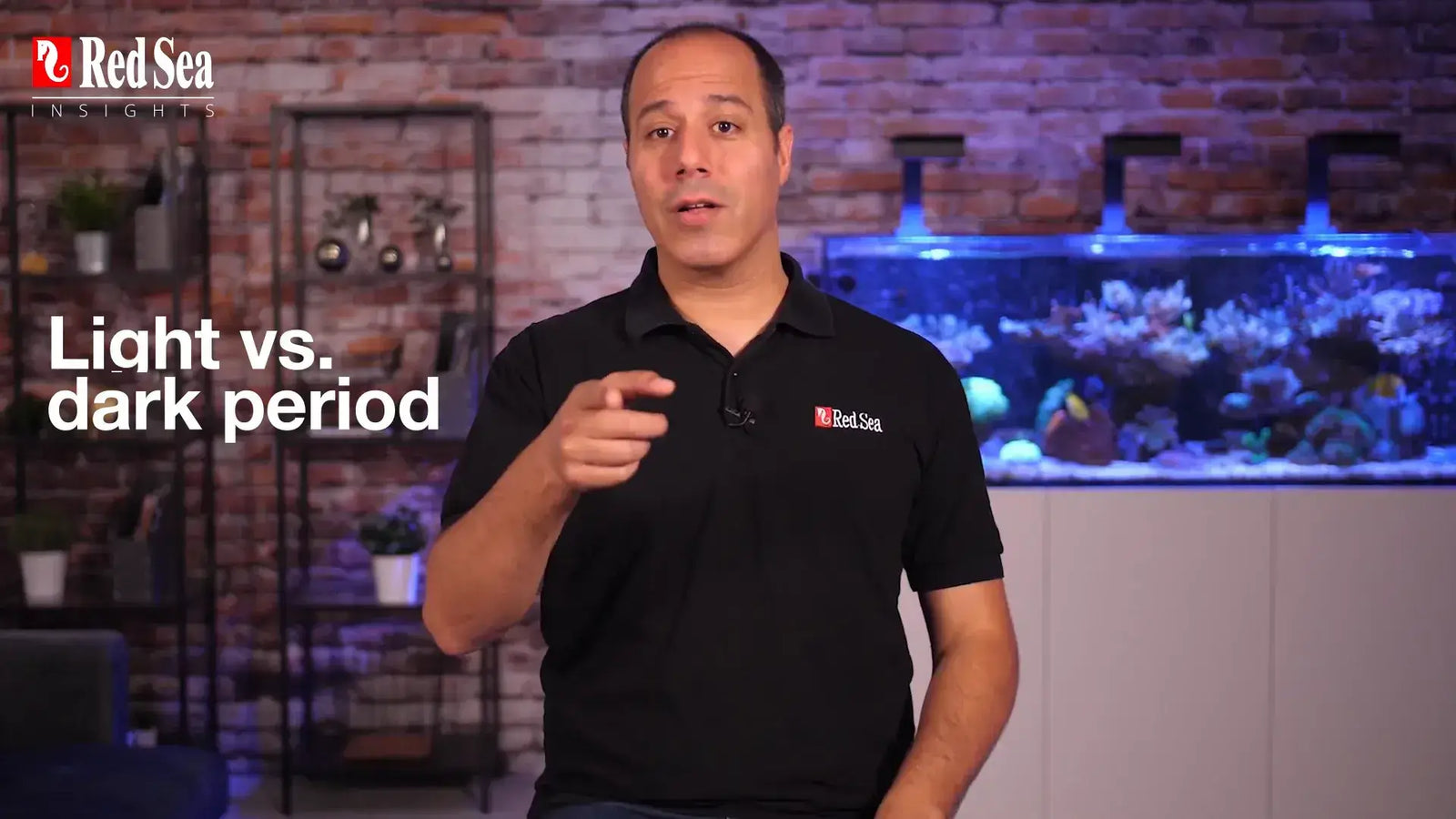 Balanced light and dark periods for coral growth