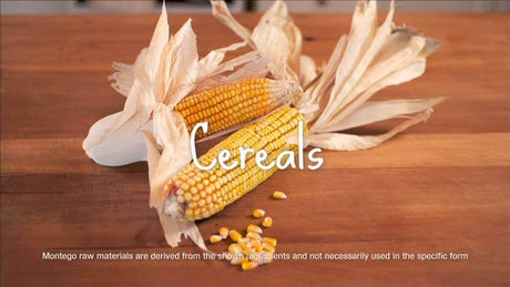 Close-up of fresh corn on a wooden table, representing raw ingredients for pet nutrition in Montego products.