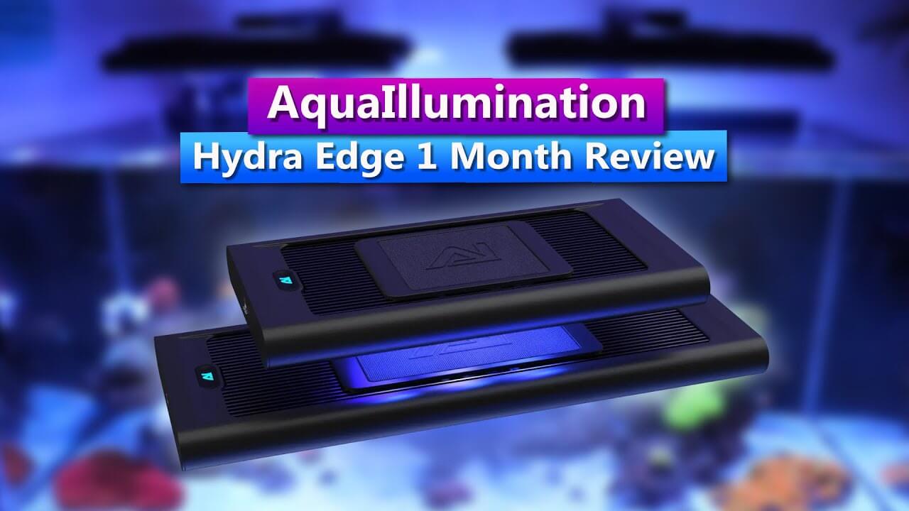 AquaIllumination Hydra Edge light review highlighting design and features, suitable for enhancing aquariums.