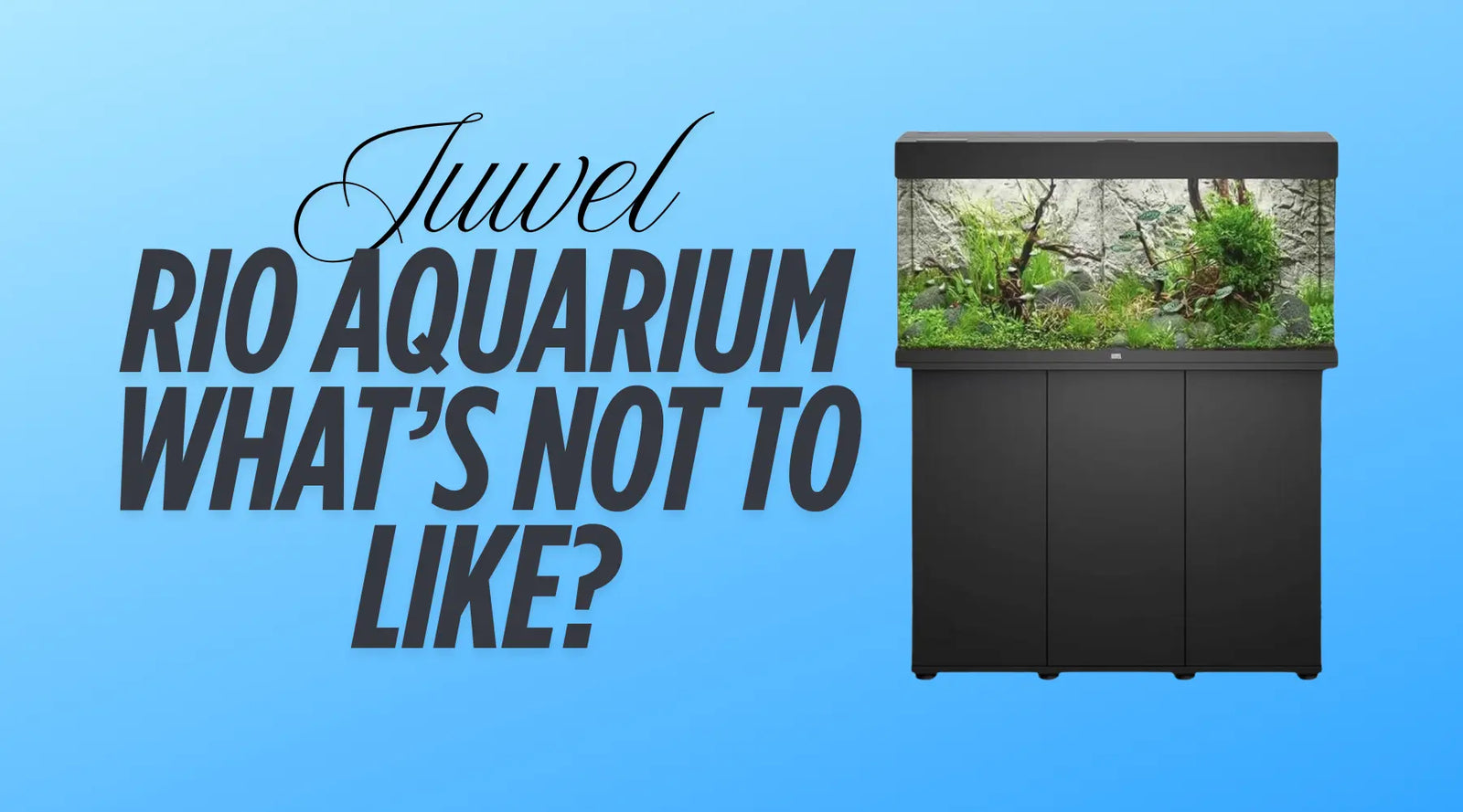 Juwel Rio Aquarium showcasing aquatic plants and fish with a modern design on a blue background.