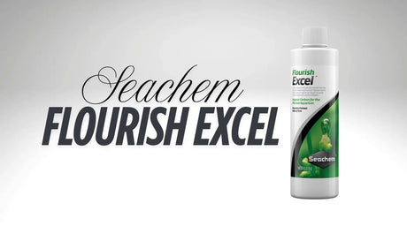 Seachem Flourish Excel bottle with the product name prominently displayed, ideal for aquarium plant growth.