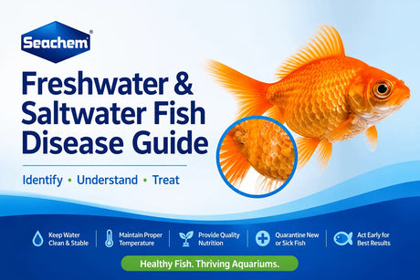 Freshwater and Saltwater Fish Disease Guide: Identify, Understand and Treat with tips for maintaining healthy aquariums.