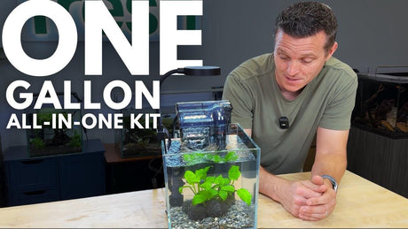 Person demonstrating a 1 gallon all-in-one aquarium kit with plants and equipment.