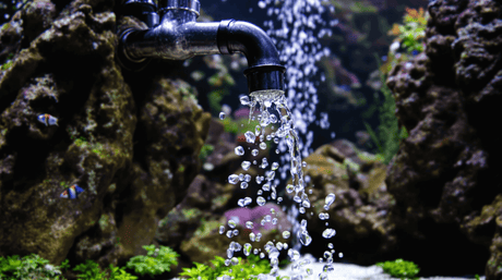 Water flowing from a faucet into an aquarium, showcasing bubbles and aquatic plants in a vibrant fish tank.