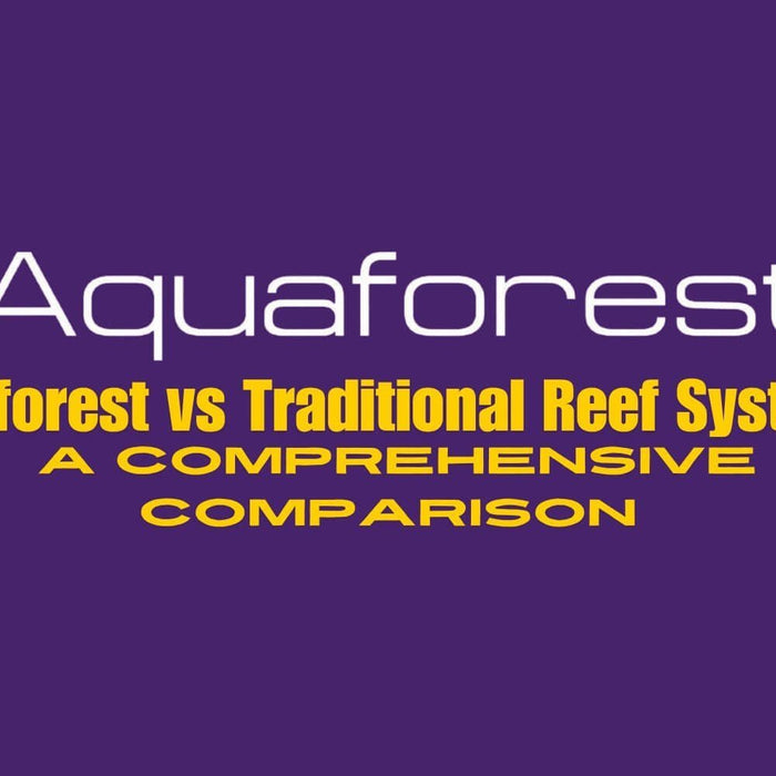 Aquaforest vs Traditional Reef Systems: A Comprehensive Comparison - Jungle Aquatics Pet Superstore