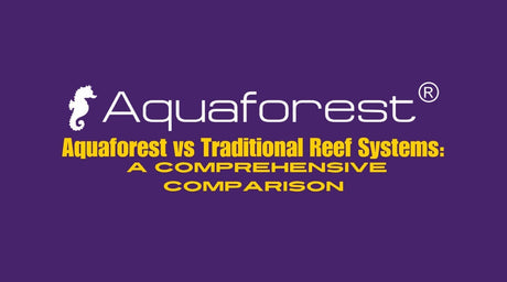 Aquaforest logo with the text 'Aquaforest vs Traditional Reef Systems: A Comprehensive Comparison'