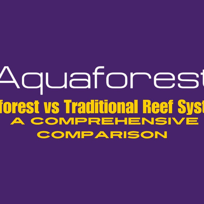 Aquaforest vs Traditional Reef Systems: A Comprehensive Comparison - Jungle Aquatics Pet Superstore