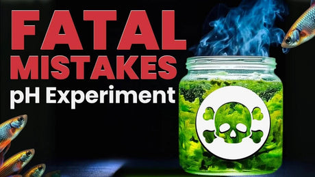Fatal Mistakes pH Experiment highlighting why Aquarium KH Matters More Than Chasing pH.