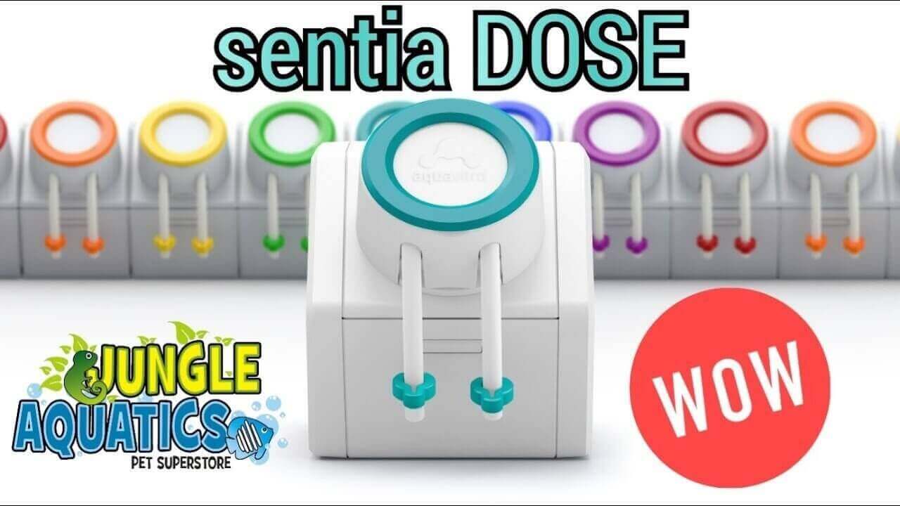 AquaVitro sentia DOSE aquarium doser with colorful dosing lines showcasing smart technology.