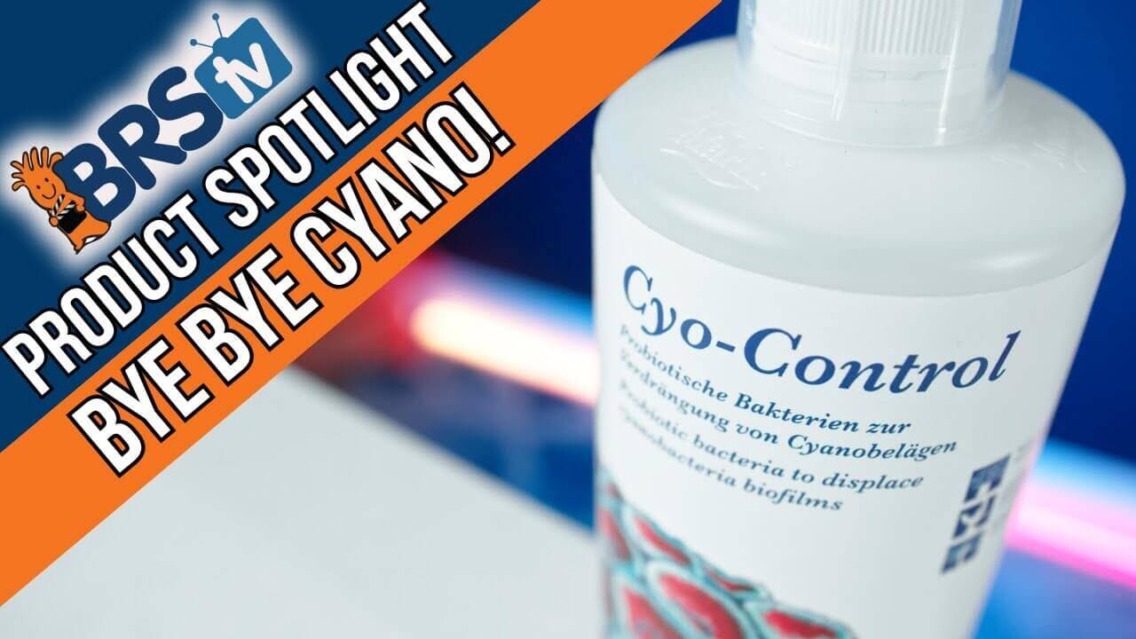 Bottle of Cyo-Control by BRS TV, promoting natural cyanobacteria control in aquariums.