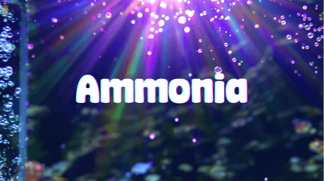 Ammonia highlighted in a colorful underwater scene, emphasizing its significance in aquarium health.
