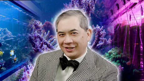 A man in a bow tie smiles in front of colorful coral tanks at DeJong Marinelife, showcasing marine life care.