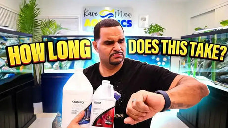 Man checking watch while holding Seachem Stability and Prime bottles with aquarium in background.