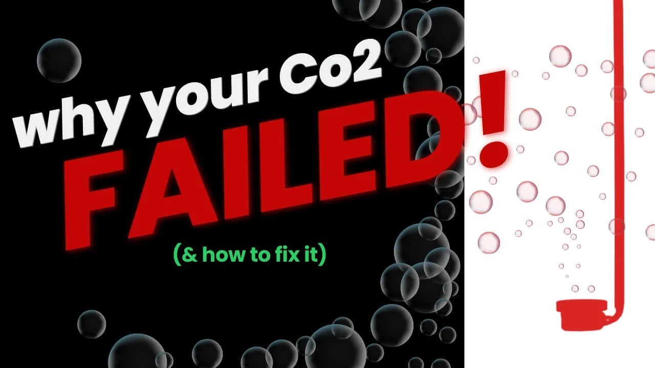 Aquarium CO2 Not Working? 7 Common Problems and How to Fix Them - why your Co2 FAILED!