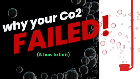 Aquarium CO2 Not Working? 7 Common Problems and How to Fix Them - why your Co2 FAILED!
