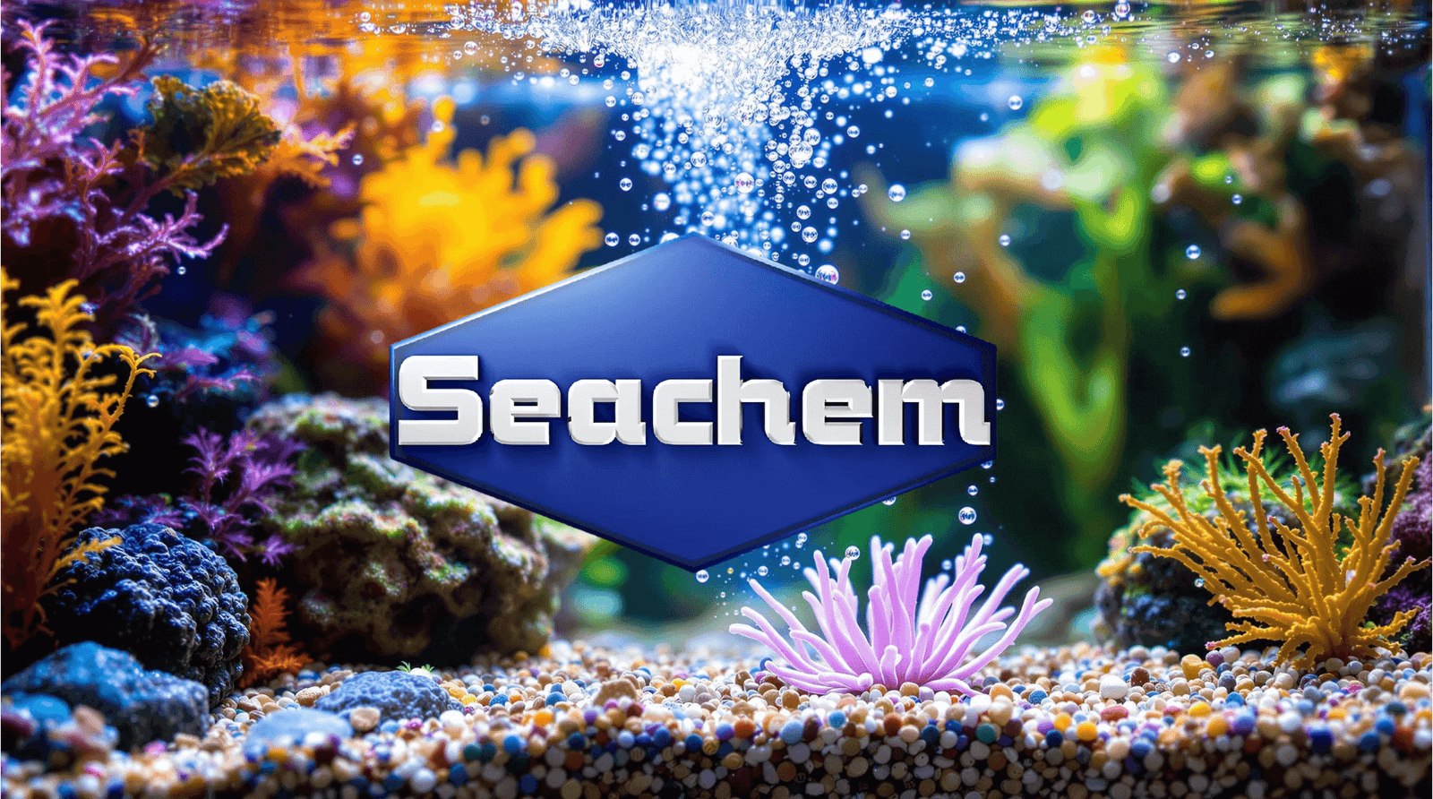 Colorful aquarium scene featuring vibrant coral with Seachem logo prominently displayed.