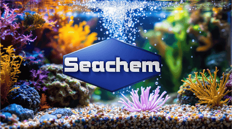 Colorful aquarium scene featuring vibrant coral with Seachem logo prominently displayed.