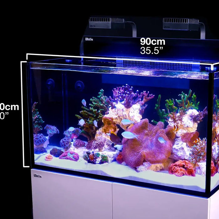 Exploring the Red Sea G2 XXL: The Ultimate Plug & Play Reef Aquarium - Jungle Aquatics Pet Superstore