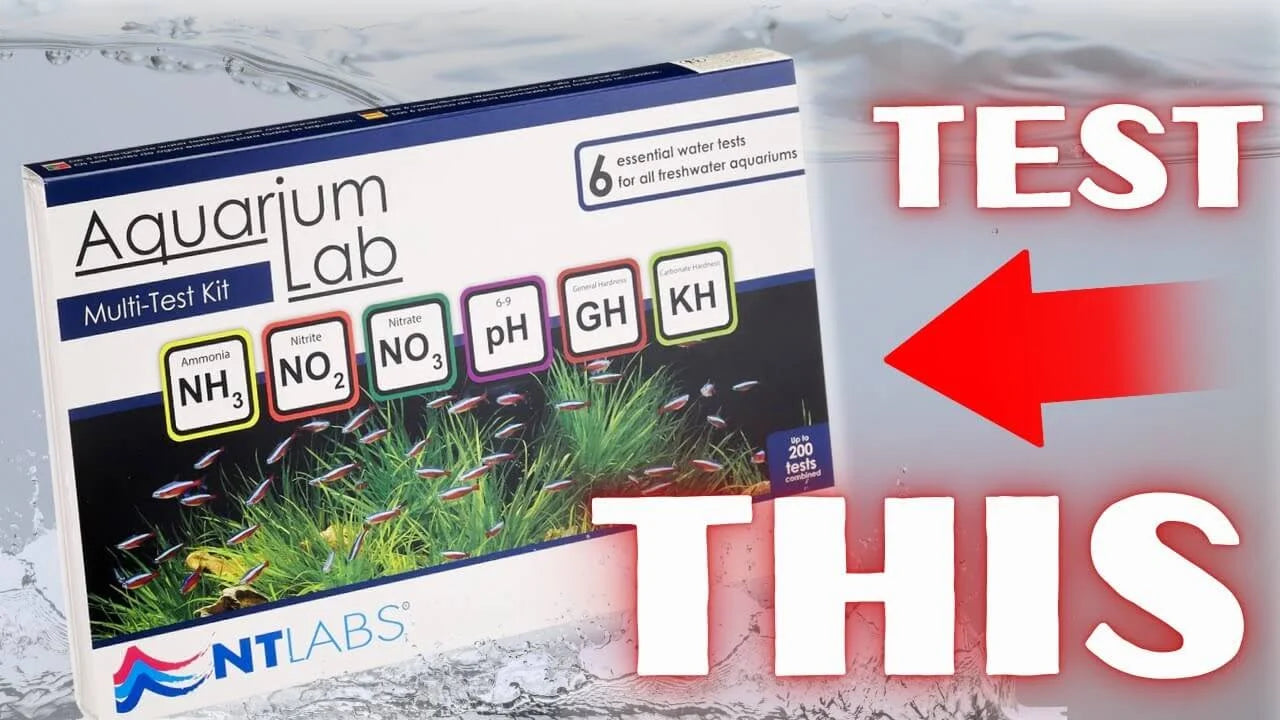 NT Labs Aquarium Test Kit: What It Tests and How to Use It Accurately packaging with essential water tests displayed.