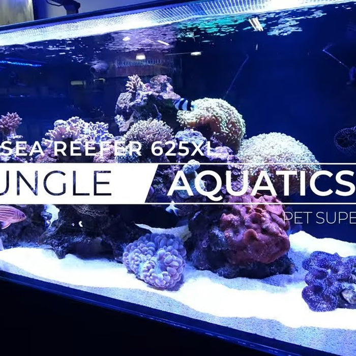 Our Red Sea Reefer 625 XXL In-Store Display Aquarium - Jungle Aquatics Pet Superstore