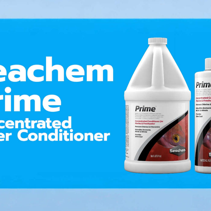 Seachem Prime: Essential Water Conditioner for Fresh and Saltwater Aquariums - Jungle Aquatics Pet Superstore