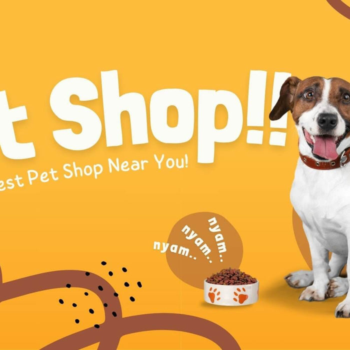 The Ultimate Guide to Finding the Best Pet Shop Near You: What to Look For - Jungle Aquatics Pet Superstore