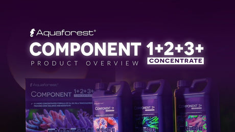 Aquaforest Component 1 2 3 concentrate set overview for thriving reef aquariums.