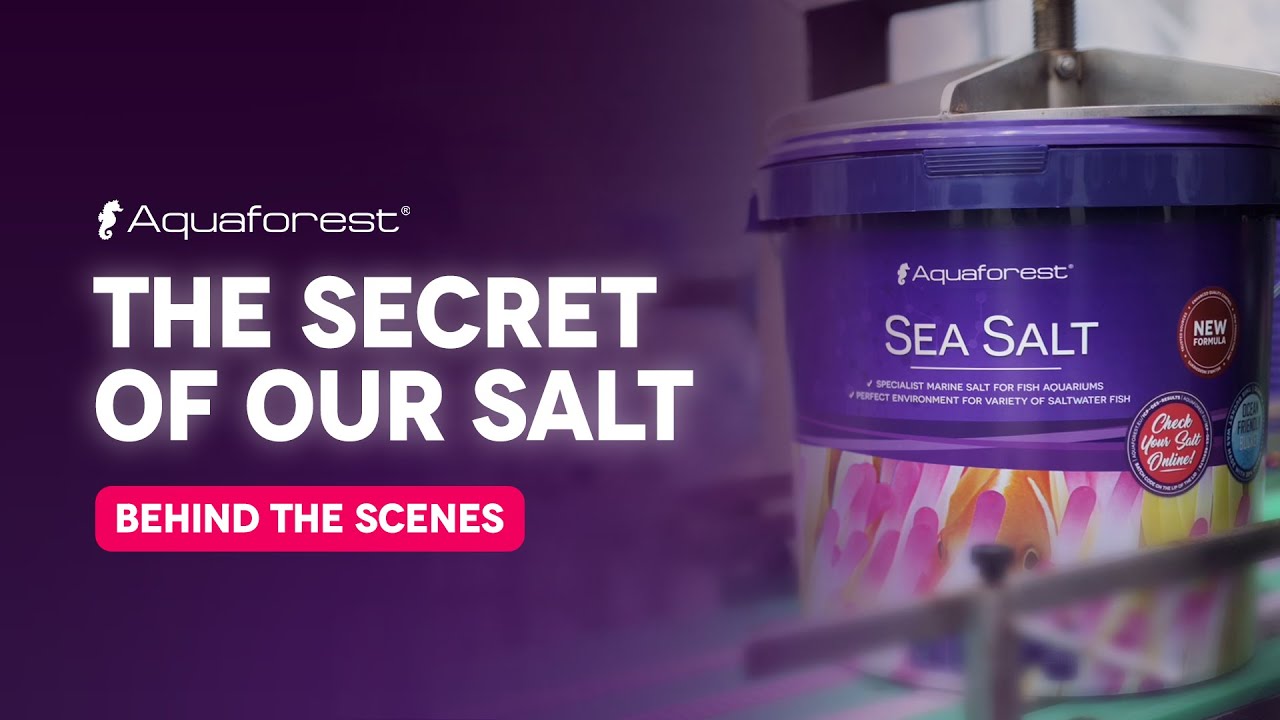 Aquaforest Sea Salt container showcasing quality behind-the-scenes production process for marine aquariums.